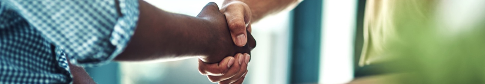 two men engaged in a handshake