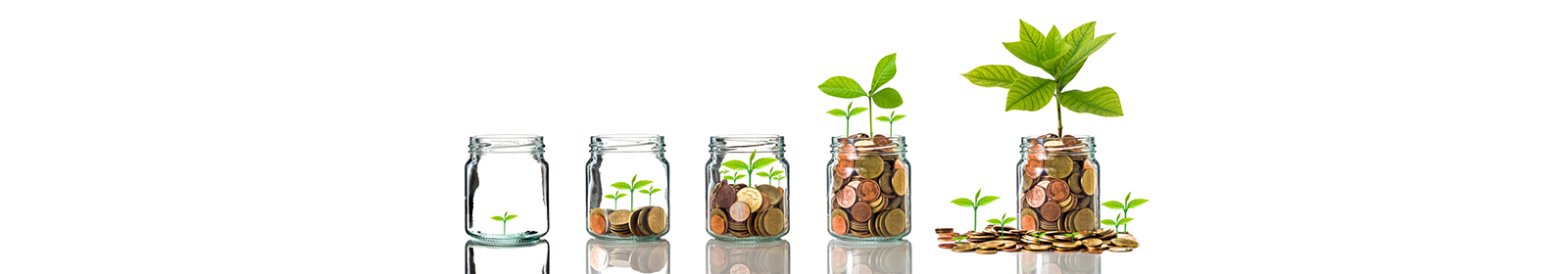 jars of coins with plants growing from them